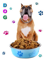 American Bulldog Nutrition Simplified Simply For Dogs