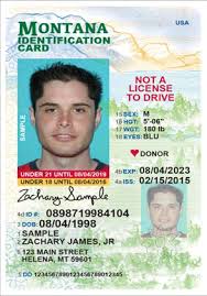 If you wish to have more information regarding real id compliant driver licenses, please visit our real id webpage. Https Dojmt Gov Mt D300 Brochure