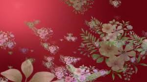 live wallpaper flower stock video