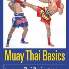 introductory thai boxing techniques by
