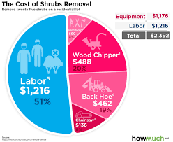 Maybe you would like to learn more about one of these? How Much Does It Cost To Remove Shrub