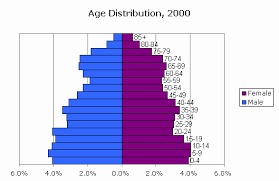 Censusscope Population Pyramid And Age Distribution