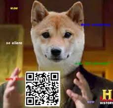 Dogecoin is a cryptocurrency based on the popular doge internet meme and features a shiba inu on its logo. Dogecoin An Internet Meme Gone Too Far Or Steemit