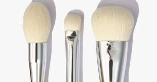 which makeup brushes do you need in