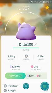 Perfect Ditto Any Use Other Than Trophy Piece Pokemon Go