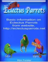 Eclectus Parrots Cover Page Book 181017 Bookemon