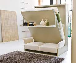 Loft Bed Murphy Bed Or Storage Bed