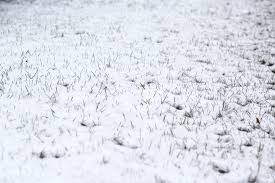 Leise rieselt der schnee, still und starr ruht der see weihnachtlich glaenzet der wald: Schnee Wiese Titania Foto