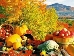 Image result for Fall pictures