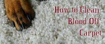 tips to clean blood out of carpet