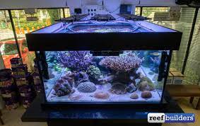 the reef and r aquarium