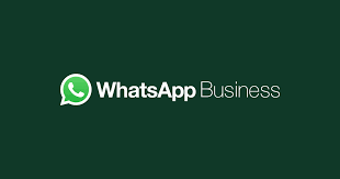 developer hub whatsapp business