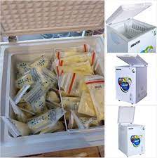 tủ lạnh mini hòa phát | Tủ đông Hòa Phát - Chính hãng - Bảo hành 3 năm-Giá  rẻ nhất Hà Nội