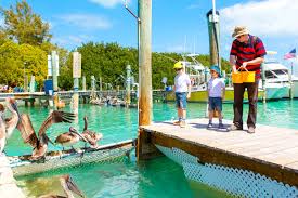 family things to do in florida keys