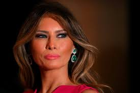 how much did melania trump make from