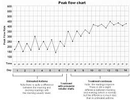 asthma peak flow meter readings