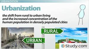 Rural population surges   Puzzling numbers show urban to rural         rural areas bring in bigger profits through the market and farming    