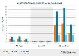 Mesothelioma Incidence Number Of Cases Trends By Demographic