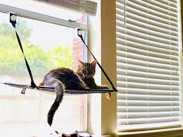 7 Diy Cat Window Perches With No S