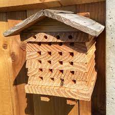 Solitary Bee House Ark Wildlife Uk