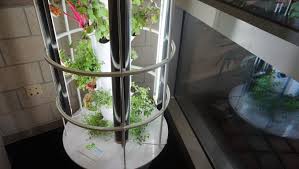 tower garden trend takes root in fla