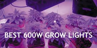 Best 600 Watt Led Grow Lights Oregongrowcabinets Com