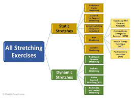 what is static stretching the pro s