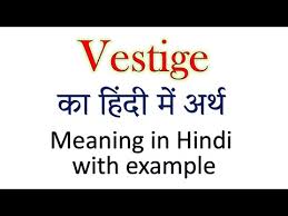 vestige meaning in hindi explained