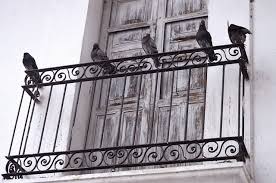 How To Keep Birds Off Balcony 14 Most