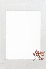 blank white frame with leaf wallpaper