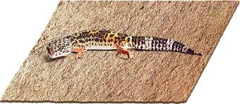 sungrow reptile carpet mat for gecko