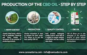 Here we look into how cbd oils are extracted through the ethanol recovery system. Cbd Oil The Most Effective Extraction With Alcohol Cannadorra Com