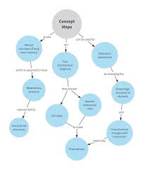 what is a concept map with exles