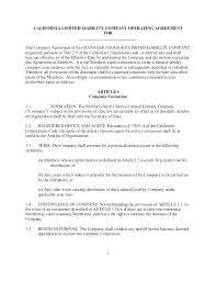 Company Operating Agreement Template Holding