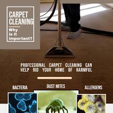 carpet cleaning near richmond mi