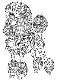 After about two weeks, kittens quickly develop and begin to explore the world outside the. Pin On Adult Coloring Pages