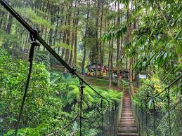 Kebun raya cibodas, cimacan, cipanas, cianjur 43253 map: Tiket Masuk Kebun Raya Bogor 2021 Spot Mernaik Pintu Masuk