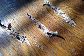 how to fix scratches on hardwood floors