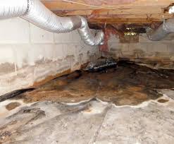 Here S Why Your Crawl Space Smells