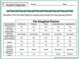 Plant Kingdom Graphic Organizer