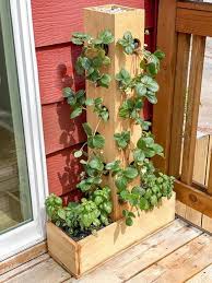 Vertical Gardening Ideas For Small Spaces