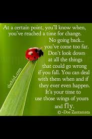 Ladybird Ladybug Quotes Inspirational Quotes Quotes