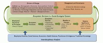 Science form 2 kssm chapter 1 : Ecosystem Services Toolkit Biodivcanada
