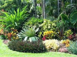 Kathy S Gardening Guide Tropical