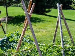 how to create a trellis in your garden