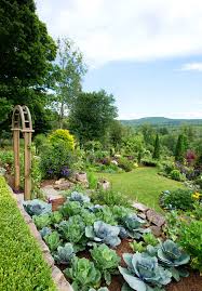 garden beautifully mingles vegetables