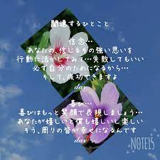 今日の花たち…9.11 花言葉 ムクゲ 信念・新しい美・尊敬・デリケートな愛 サフラン 喜び・陽気・歓喜・喜びあふれる笑顔 関連するひとこと｜だー