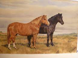 Dorothy And Elizabeth Alderson Two Ponies