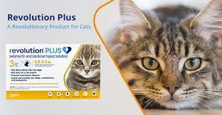 Cleansing of the infested ears is recommended to remove the debris. Revolution Plus The Extra Plus To Revolution For Cats Budgetvetcare