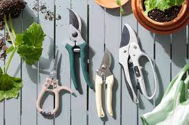 4 types of hand pruners and how to choose